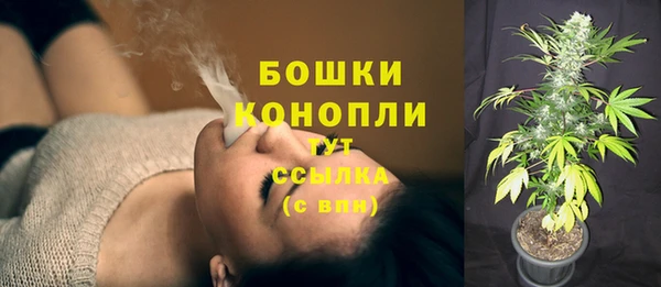 крисы Абдулино
