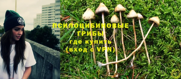 метадон Сатка