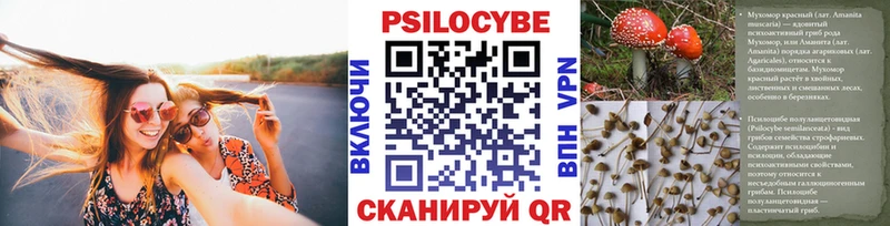 Псилоцибиновые грибы Psilocybe Котлас