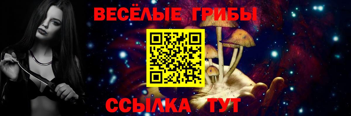 Котлас  Галлюциногенные грибы мухоморы  Вход с VPN  Галлюциногенные грибы MAGIC MUSHROOMS 